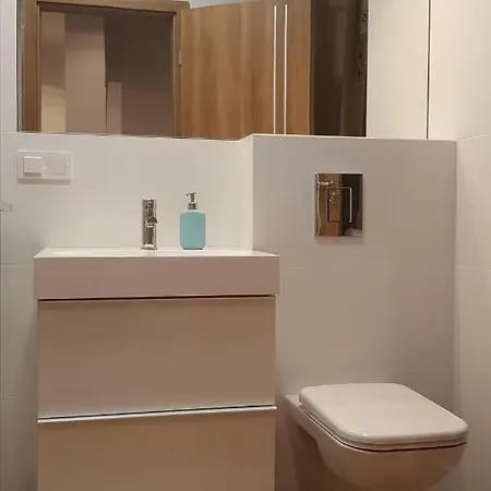 Premium Apartament Citycenter 2 - Mtp/pkp + Parking Free Posen